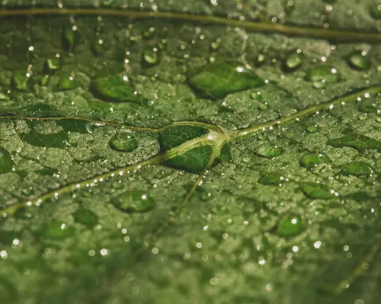 Humidity